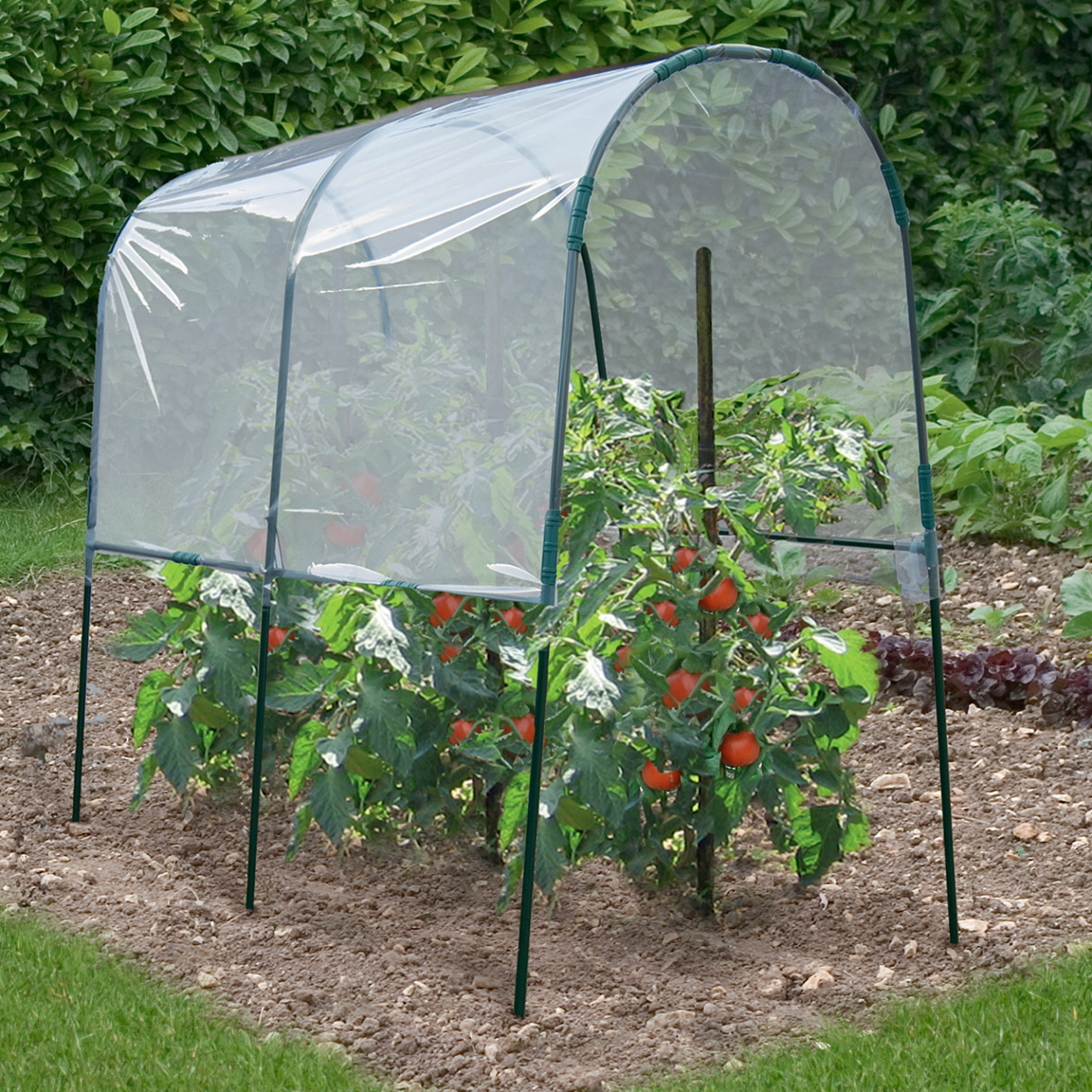Serre à tomates de jardin 200 x 120 x 170 cm avec bâche transparente + arceaux en acier - Image 1