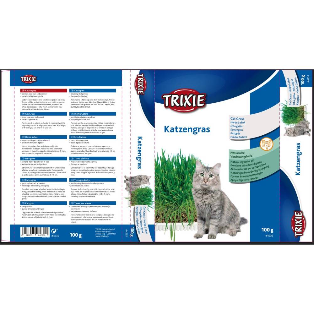 Herbe à chat, barquette de 100g - Image 4