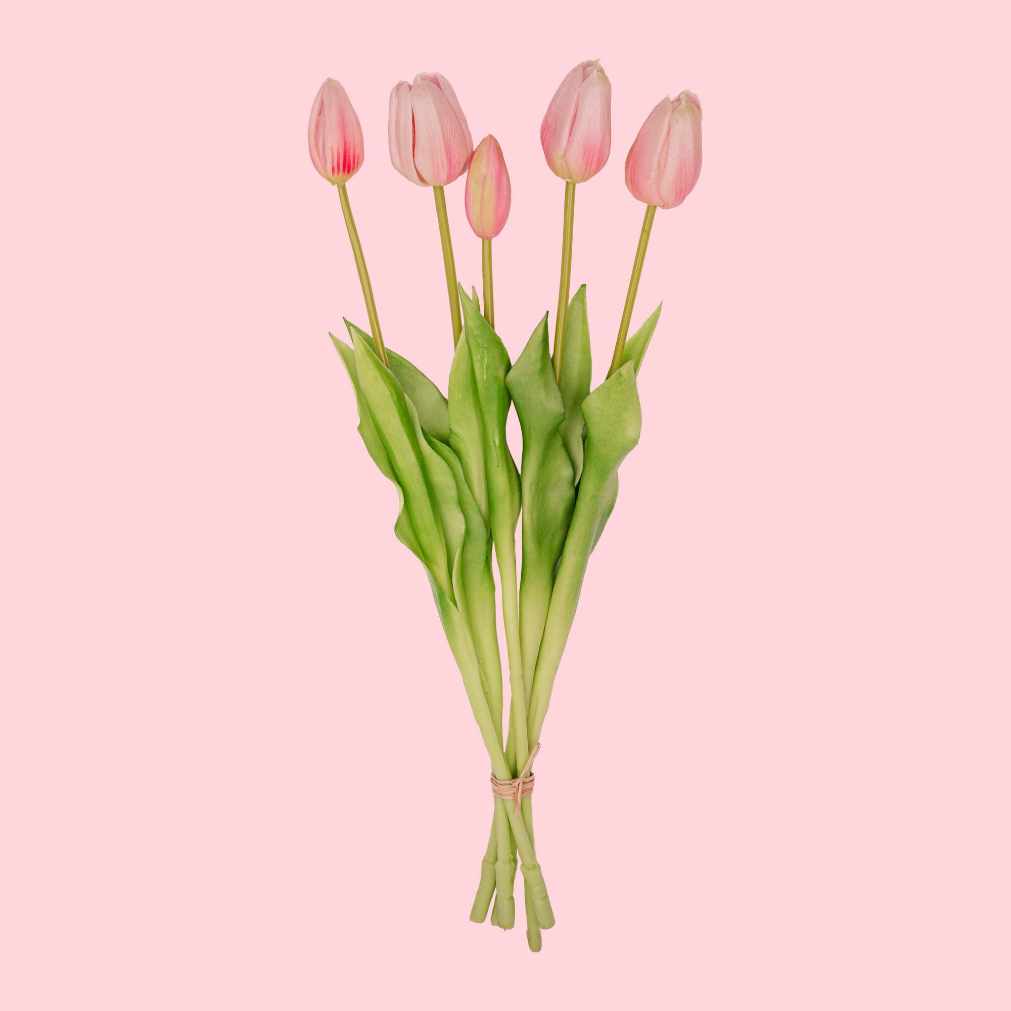 Lot De 2 Assiettes Creuses Mélamine Roses & Tulipes 21 Cm – Style Méditerranéen, Incassables & Idéales Pour Extérieur & Table D'Été
