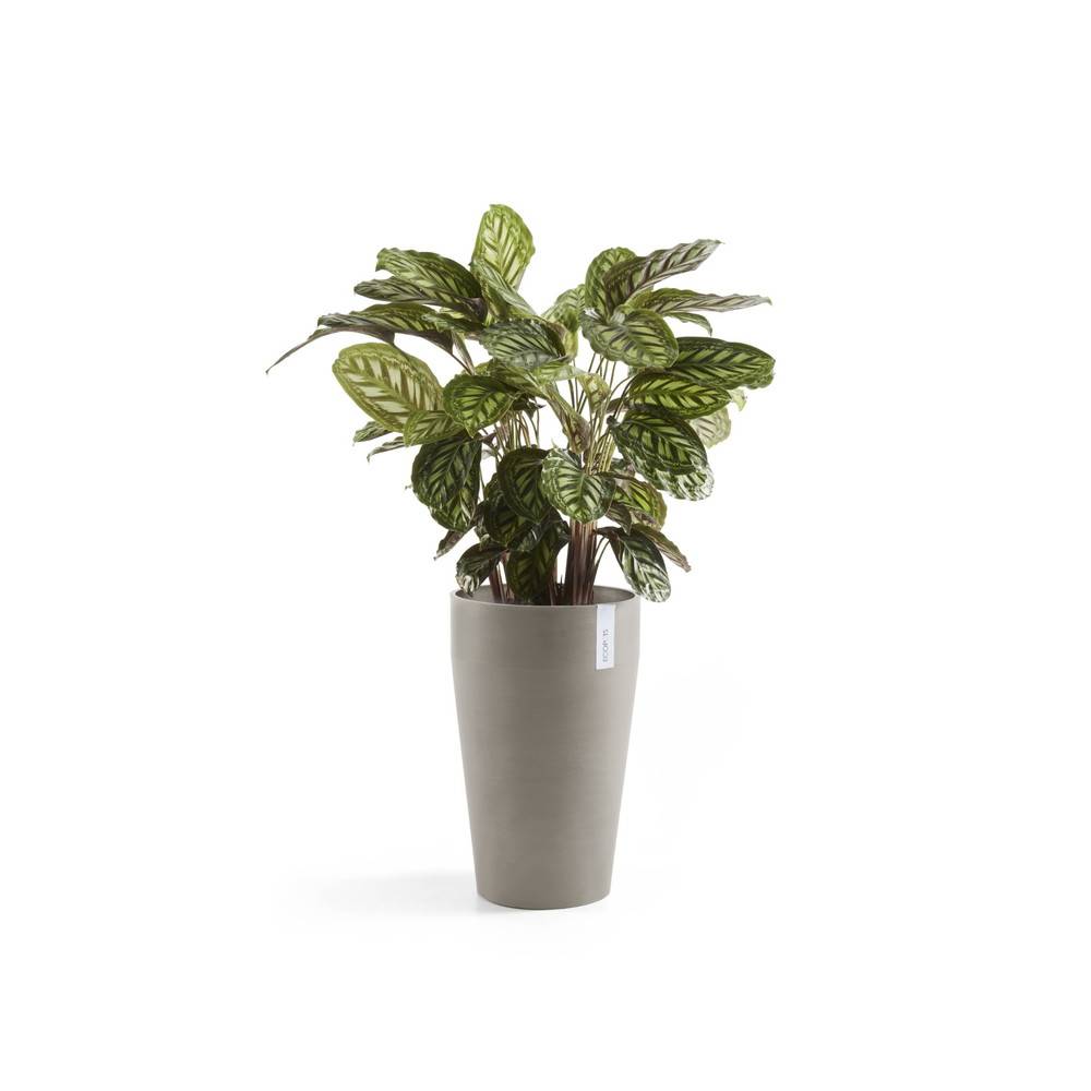 Ecopots - Pot Haut Sankara 55 Taupe - Ø 35 x H. 55 cm - 36 L ECOPOTS - Image 3