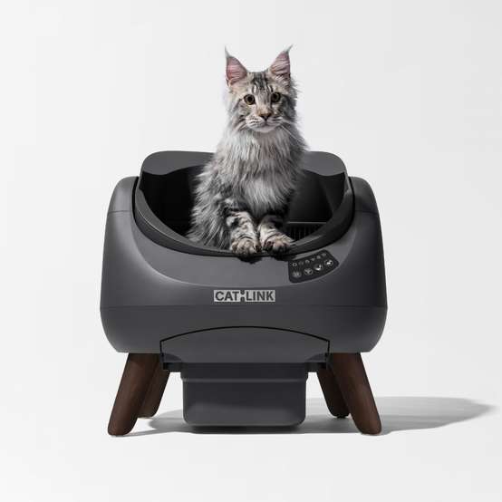 Catlink Open-X Litière autonettoyante pour chats - Gris foncé CATLINK - Image 1