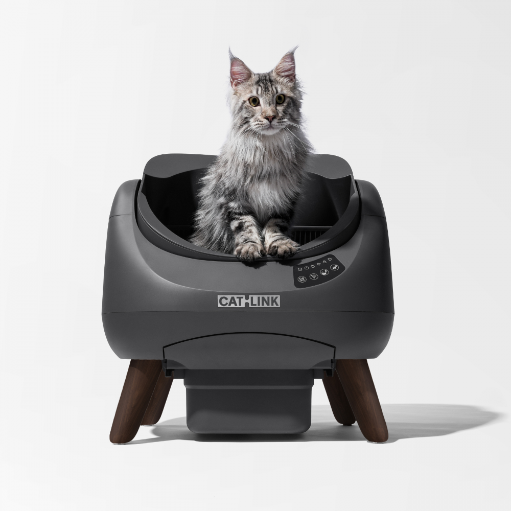 Catlink Open-X Litière autonettoyante pour chats - Gris foncé CATLINK - Image 1