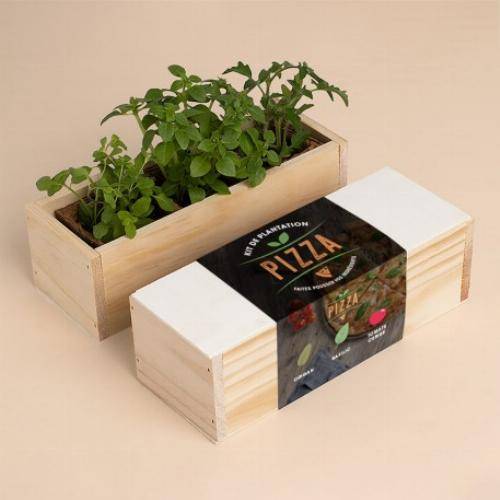 Kit culinaire d'auto culture - Gin tonic - Image 4