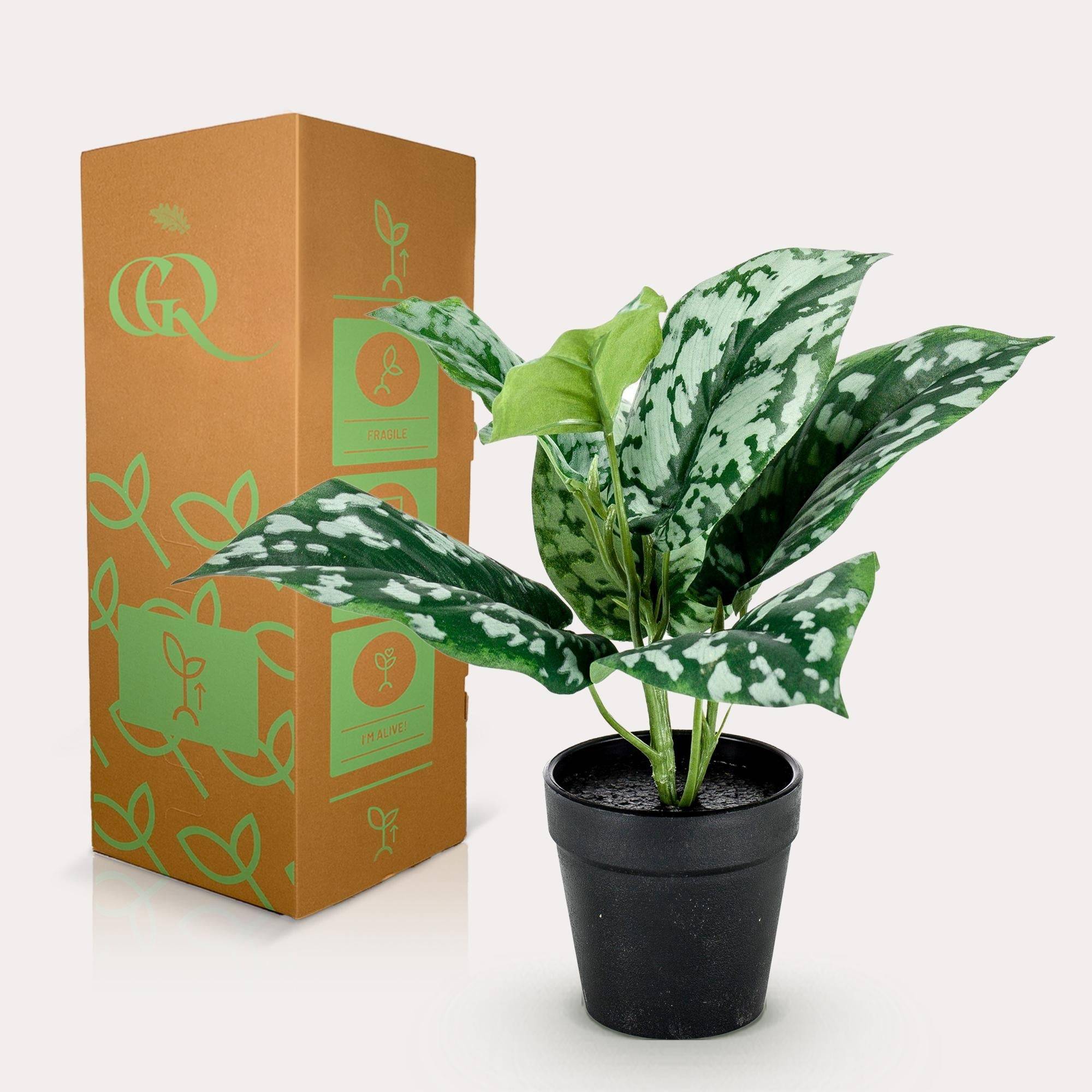 La Green Touch - Scindapsus plante artificielle- h30cm, Ø15cm- La Green Touch - Image 3