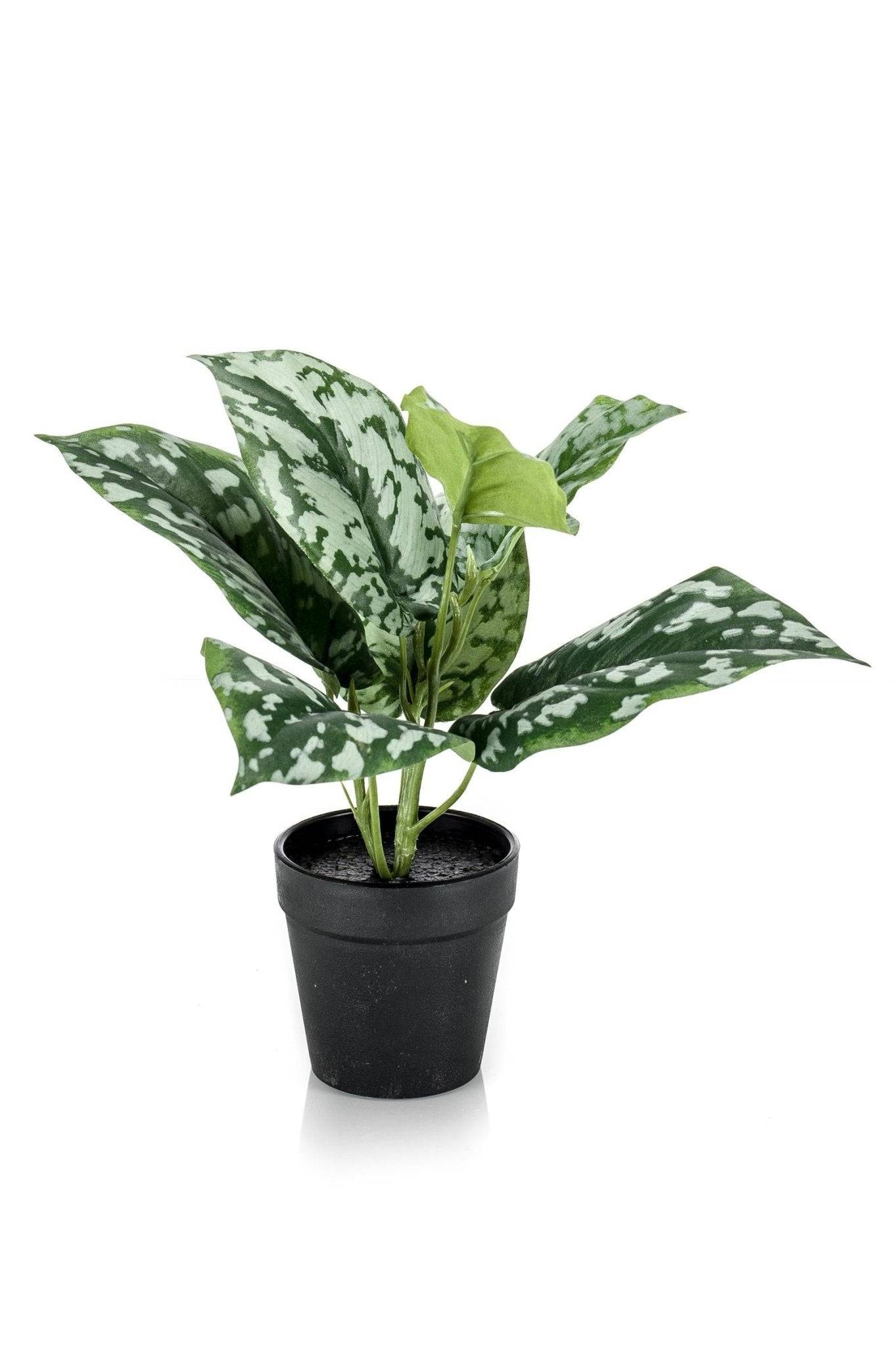 La Green Touch - Scindapsus plante artificielle- h30cm, Ø15cm- La Green Touch - Image 6
