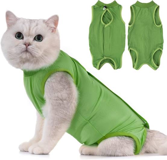 Combinaison de Récupération pour Chat Anti Léchage Verte M