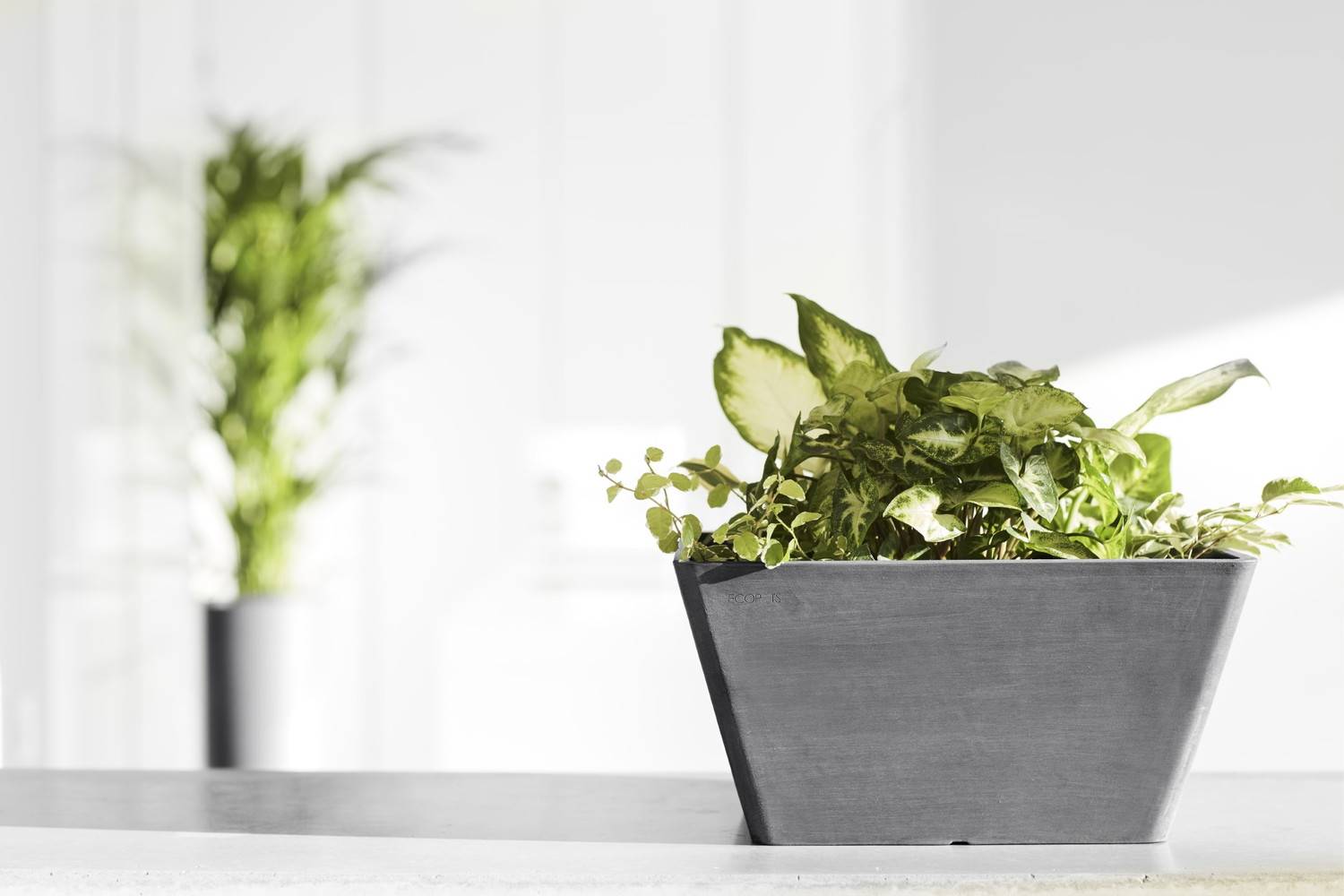 Ecopots - Pot Carré Berlin 30 Gris - 31 x 31 x H. 15,5 cm - 10 L ECOPOTS - Image 5