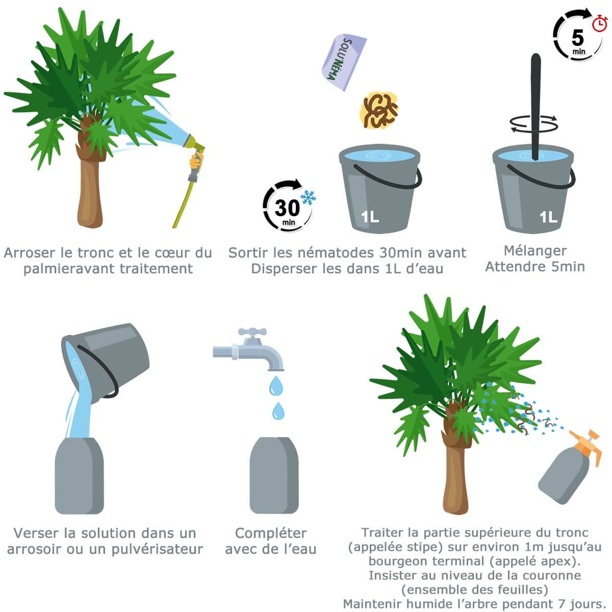 Tout pour les nuisibles - Solunéma - Traitement pour Palmiers à base de nématodes Steinernema Carpocapsae (SC) - 50 millions - 4 à 6 Palmiers - Image 3