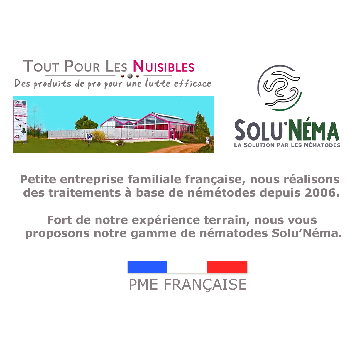 Tout pour les nuisibles - Solunéma - Traitement pour Palmiers à base de nématodes Steinernema Carpocapsae (SC) - 50 millions - 4 à 6 Palmiers - Image 4