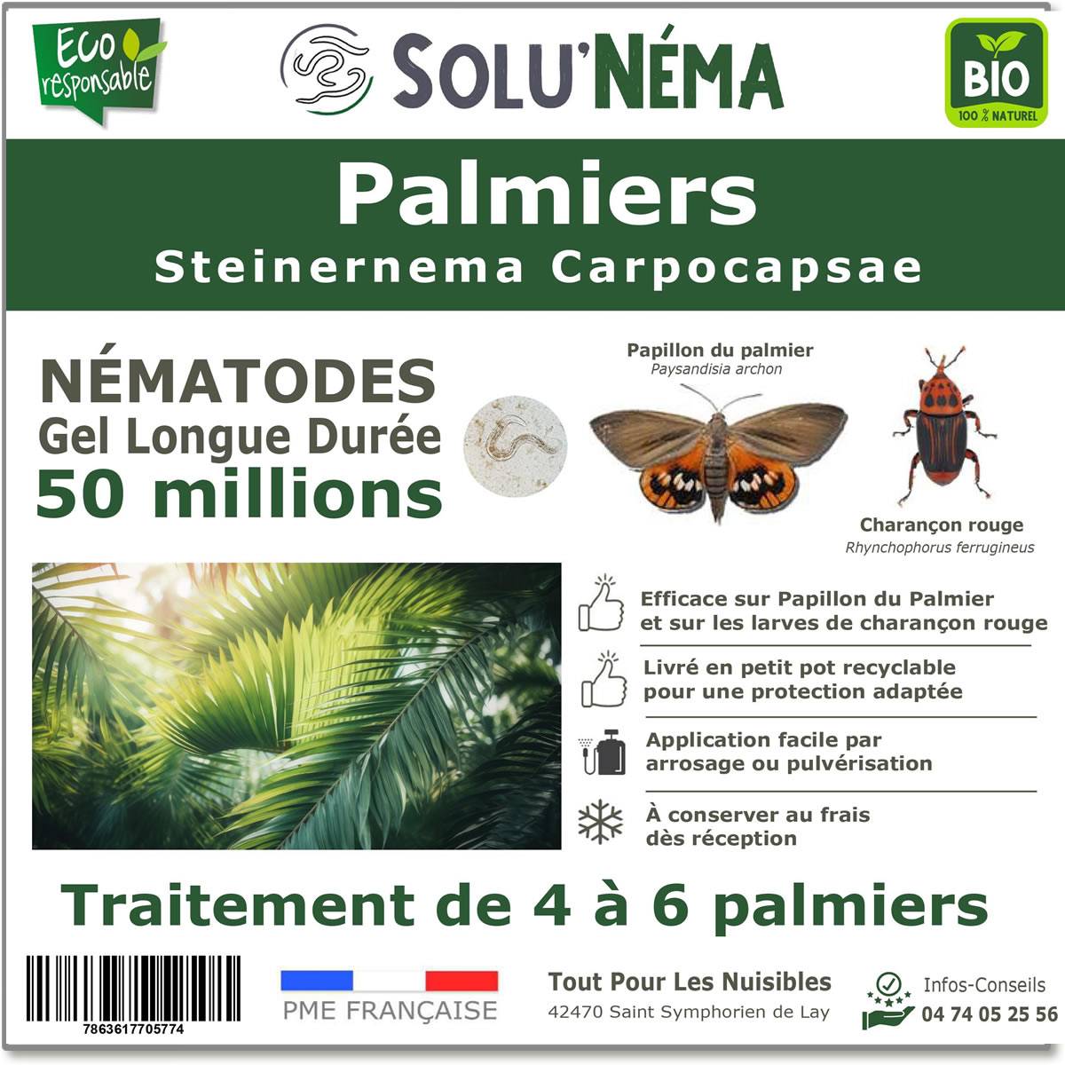 Tout pour les nuisibles - Solunéma - Traitement pour Palmiers à base de nématodes Steinernema Carpocapsae (SC) - 50 millions - 4 à 6 Palmiers - Image 1