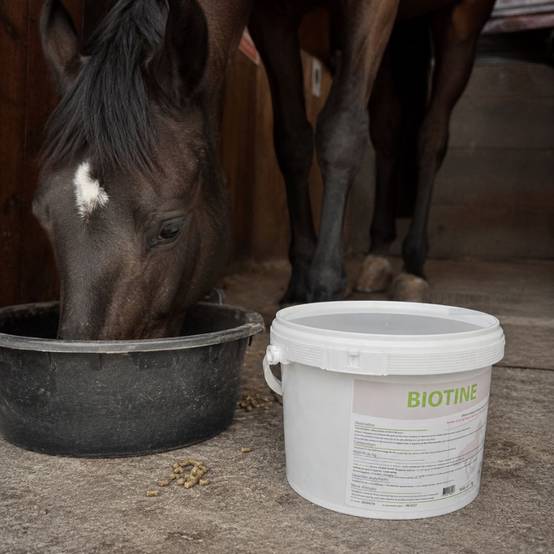 Biotine Equiwin Poudre 1 kg pour les Sabots et le Pelage du Cheval 1 kg - Image 2