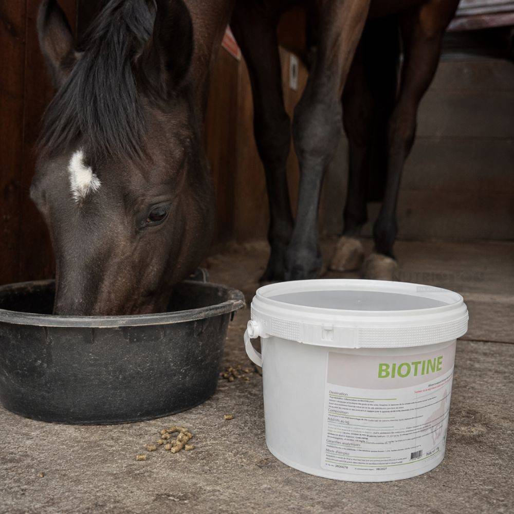 Biotine Equiwin Poudre 1 kg pour les Sabots et le Pelage du Cheval 1 kg - Image 2