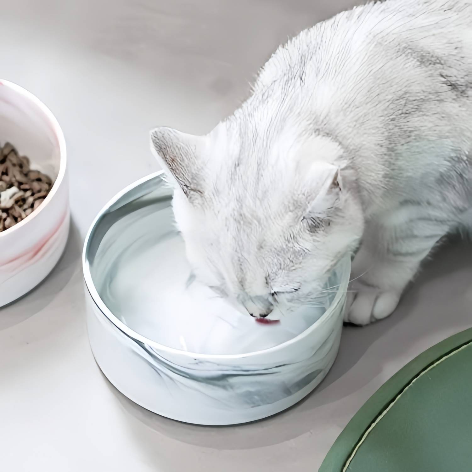 DtopbuyAge - Bol surélevé en Céramique et Bois pour Chat DtopbuyAge - Image 3