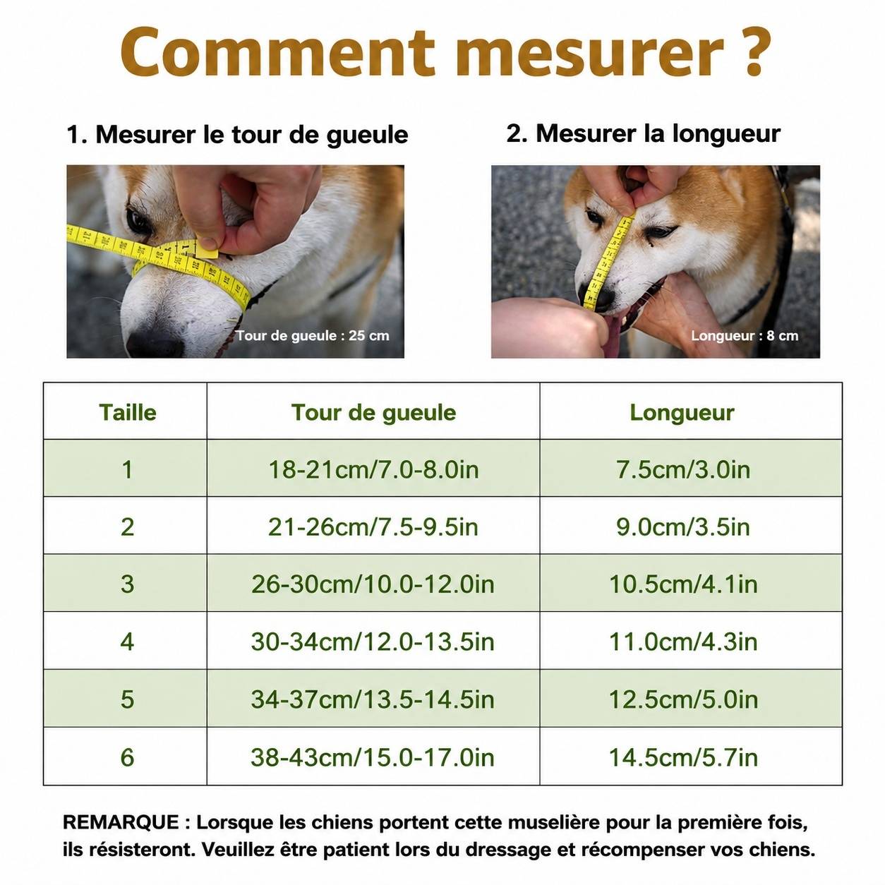 Muselière Panier Pour Chiens Respirante Réglable Légère Et Durable Pour Chiens Agressifs - Image 2