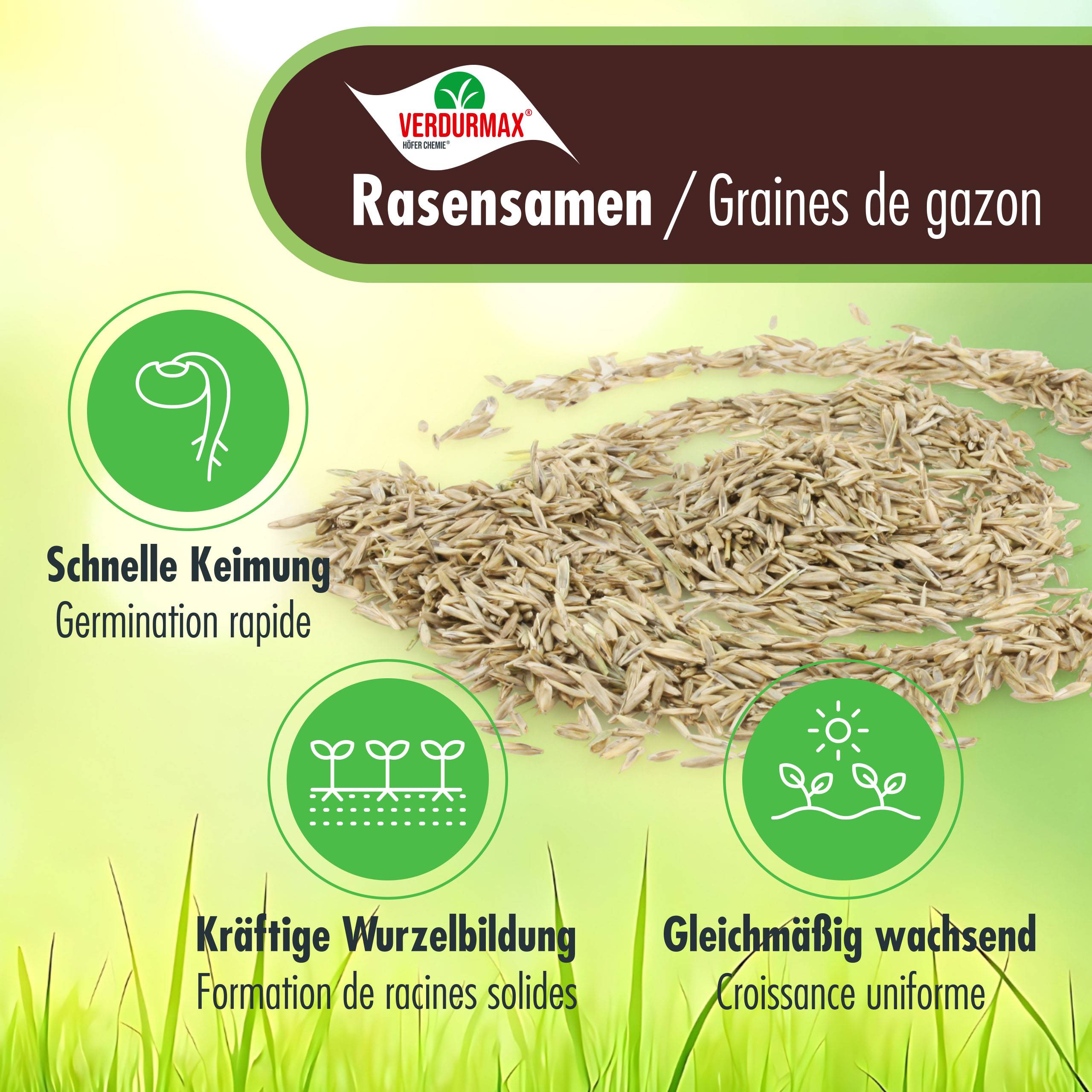 1 kg VERDURMAX® Semences de gazon x 3 - Image 4