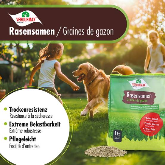 1 kg VERDURMAX® Semences de gazon x 3 - Image 5