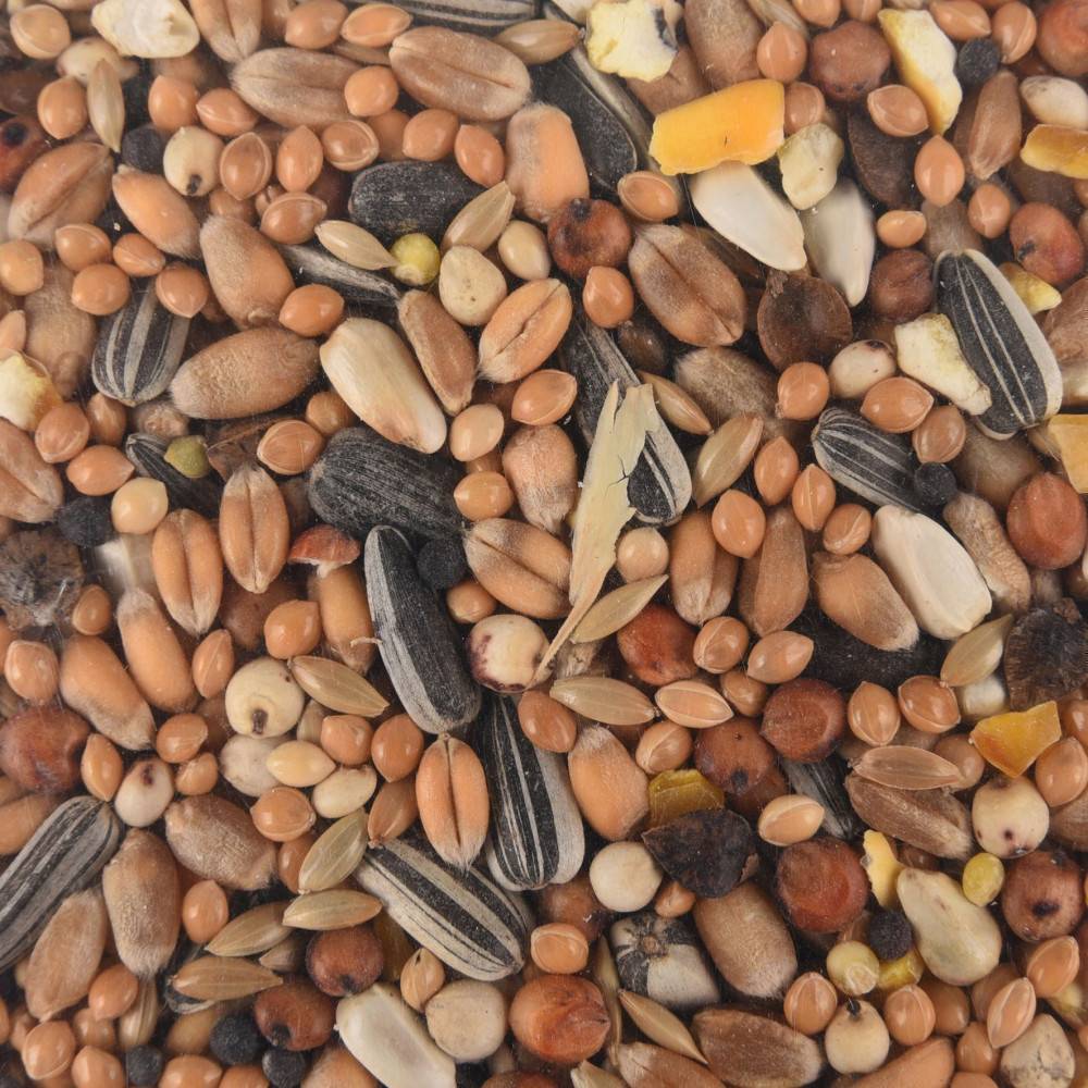 Mélange de graines toutes saisons pour oiseaux sac de 1 kg - Image 2