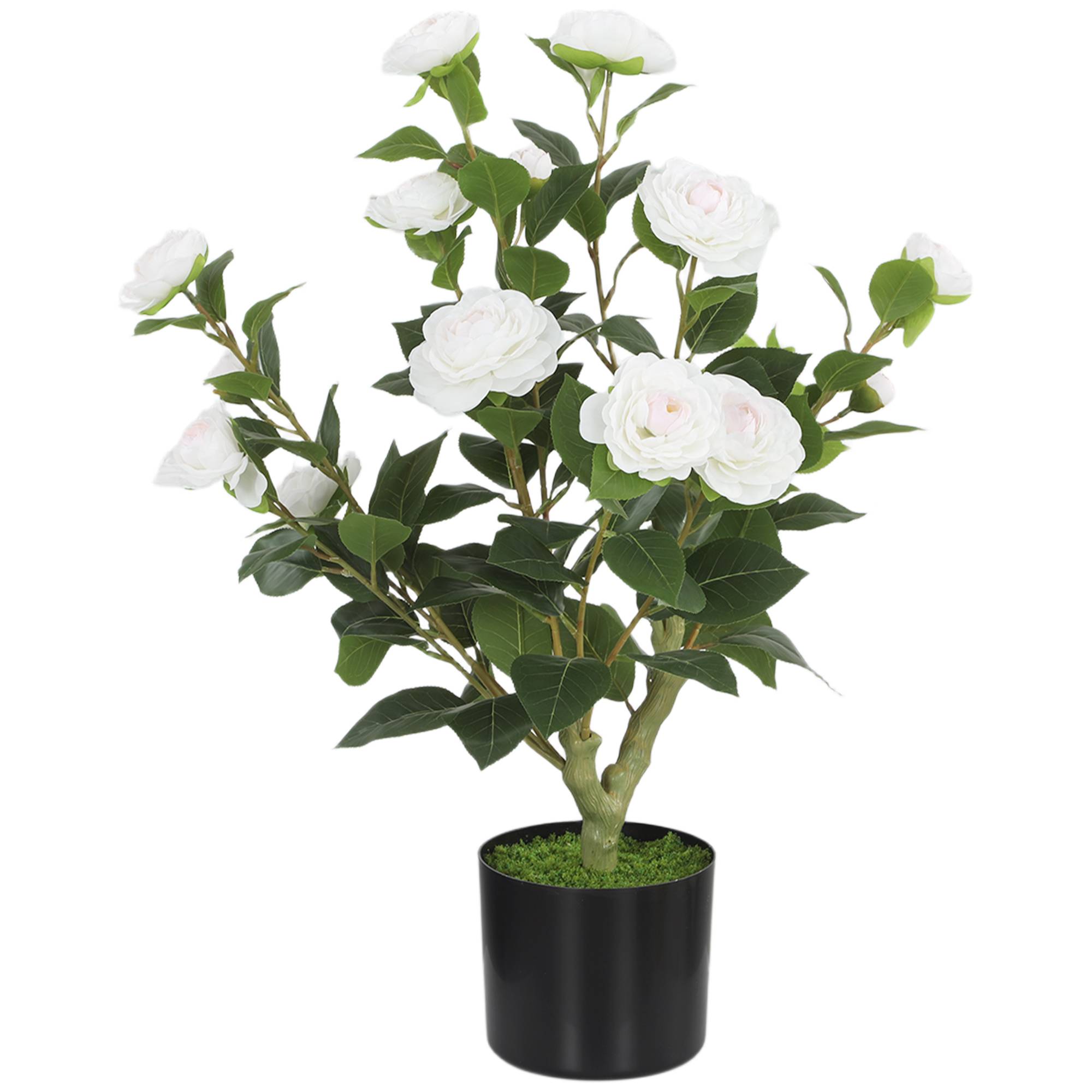 Sans Marque - Camélia artificiel de 65 cm en pot, orné de fleurs en soie réalistes et de 116 feuilles à effet mousse blanche. - Image 2