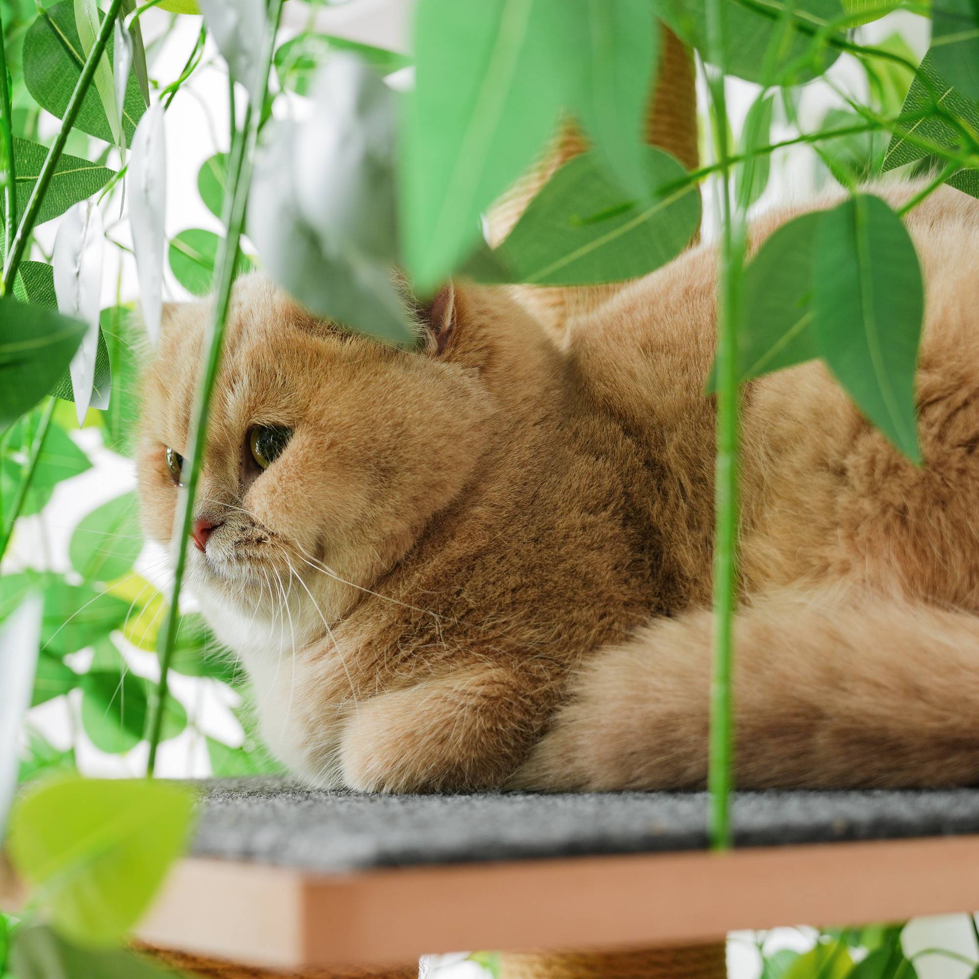 Arbre à chat design arbre en bois MDF pour chats griffoir et cachette 158cm vert - ComfortXL Outdoor Living - Image 6