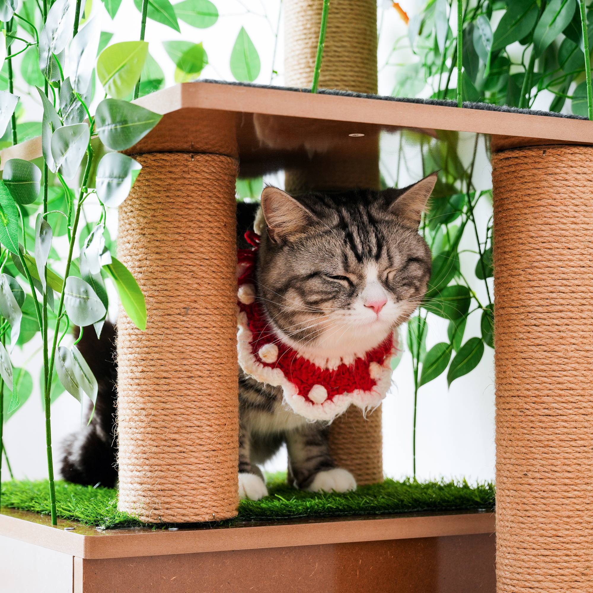 Arbre à chat design arbre en bois MDF pour chats griffoir et cachette 158cm vert - ComfortXL Outdoor Living - Image 5