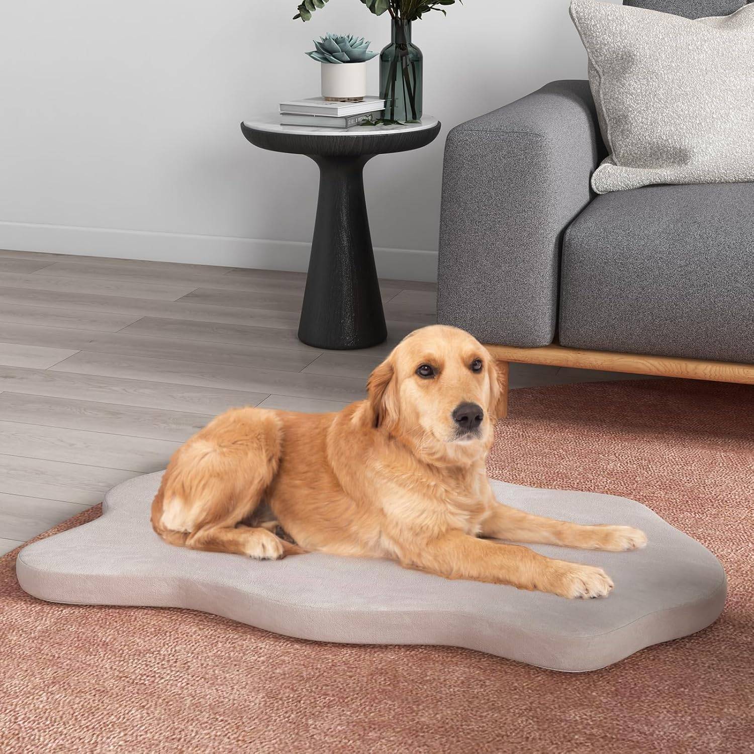 Matelas pour Chien en Mousse à Mémoire de Forme, Coussin Orthopédique, 110 x 66 x 5CM (Beige) - Image 1