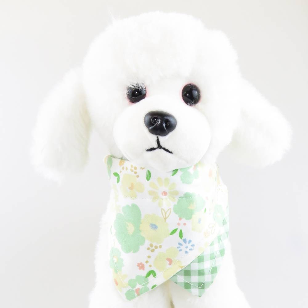 IntiMeg - Écharpe verte pour chien - IntiMeg - Image 3