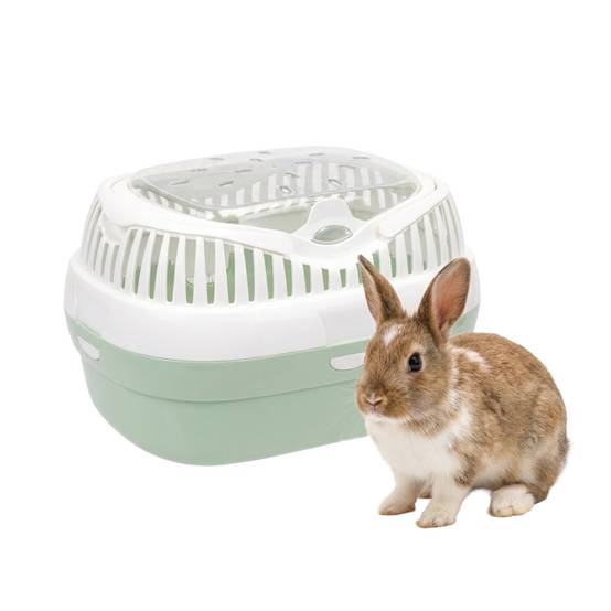 Ferplast - Ferplast Transport pour lapins, cochons d'inde et rats ALADINO LARGE Cage de transport pour animaux domestiques, rongeurs, lapins, plastique - Image 4