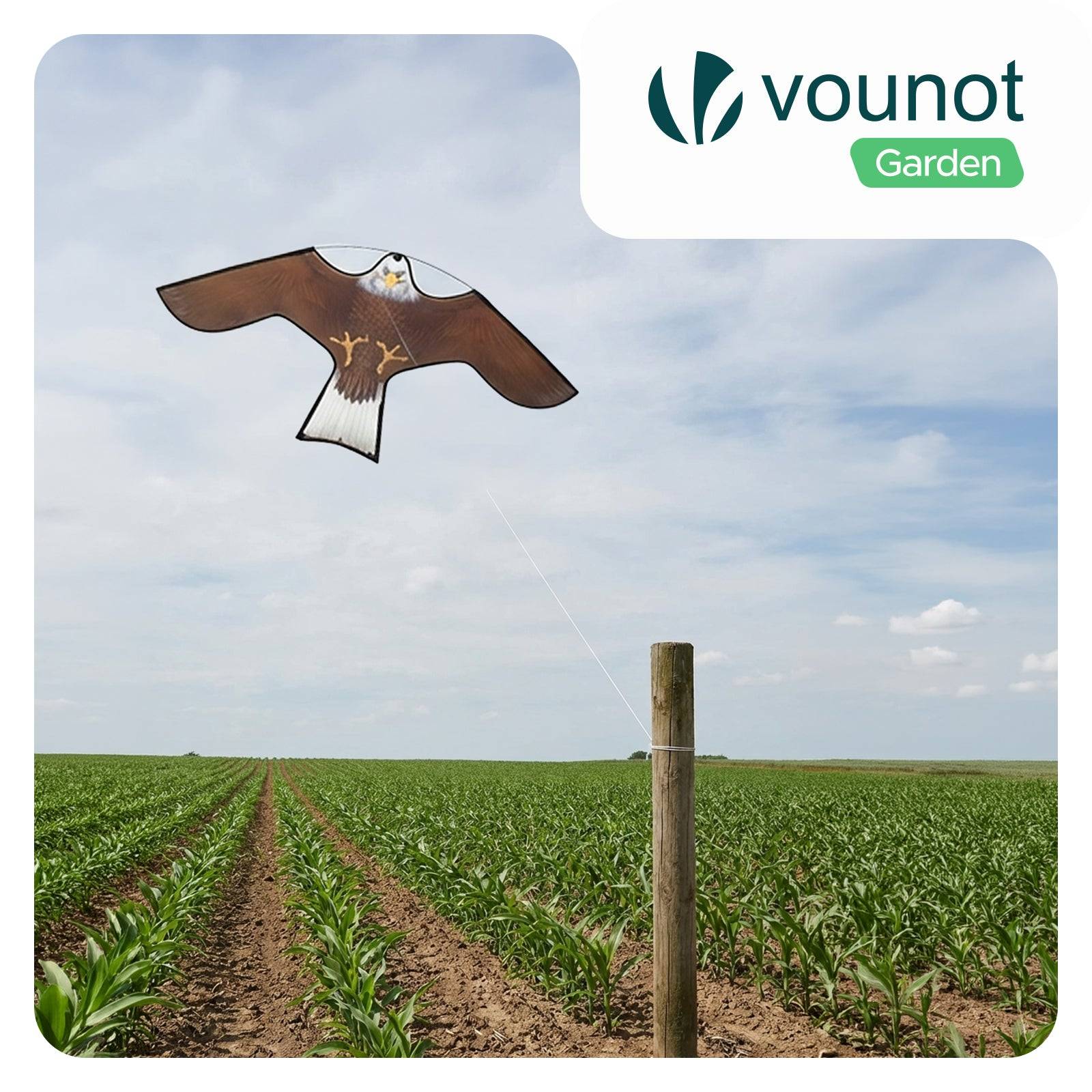 Cerf volant anti oiseaux effaroucheur sans mat Faucon modele B - Image 2