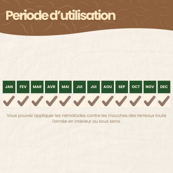 Achat Nature - achatnature - Nématodes SF contre mouches des terreaux - 25 millions - 50 m² - Image 6