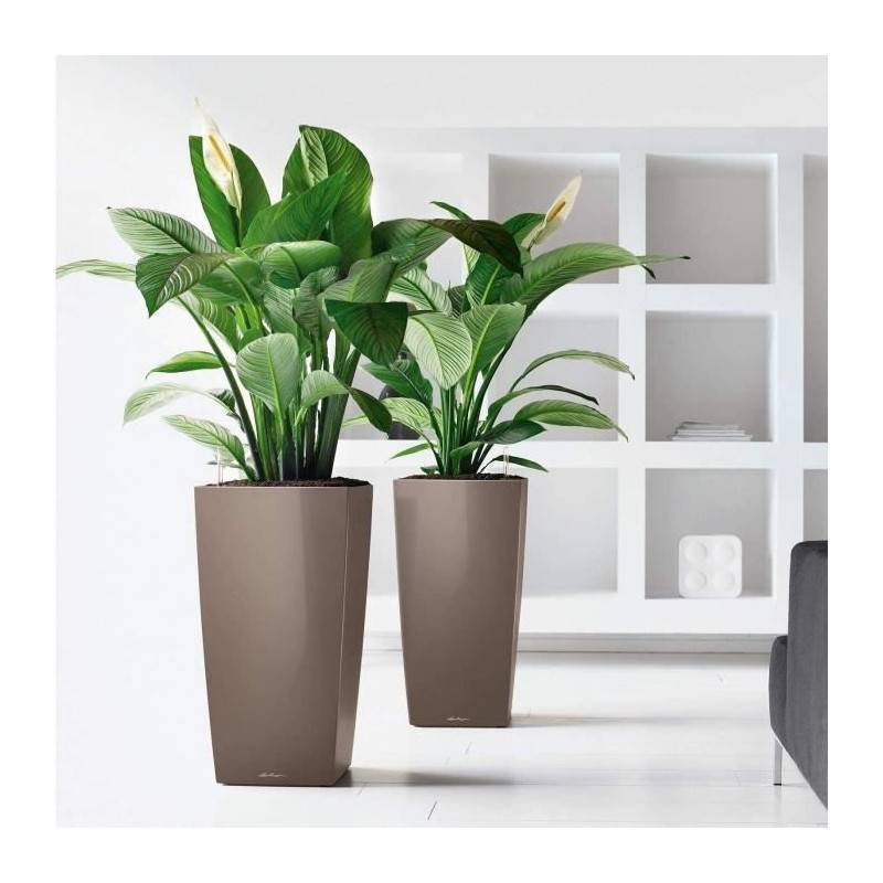 Lechuza - Pot De Fleur Lechuza Cubico Premium 40 - Kit Complet, Taupe Brillant - Image 2