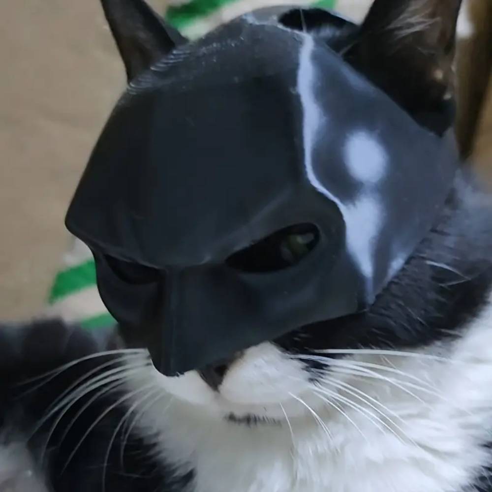 Masque Batman pour chat l - IntiMeg - Image 3