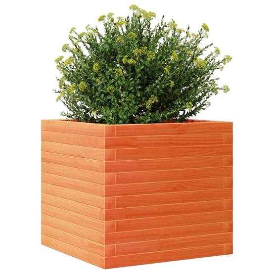 Jardinière bois pin massif cire marron 50 x 50 x 45,5 cm - PANGIVO - Image 4