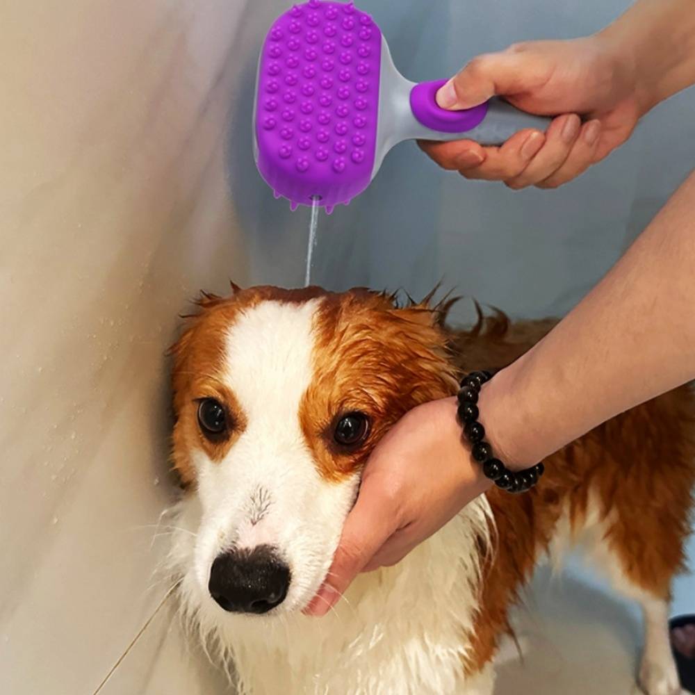 IntiMeg - Brosse de bain en silicone pour chien Violet IntiMeg - Image 4