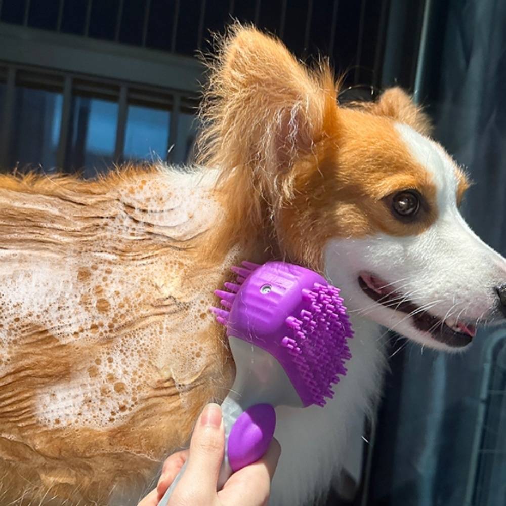 IntiMeg - Brosse de bain en silicone pour chien Violet IntiMeg - Image 6