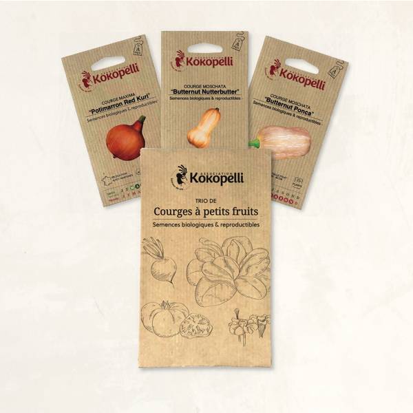 Courges à petits fruits - 3 sachets de graines bio à semer - Image 2