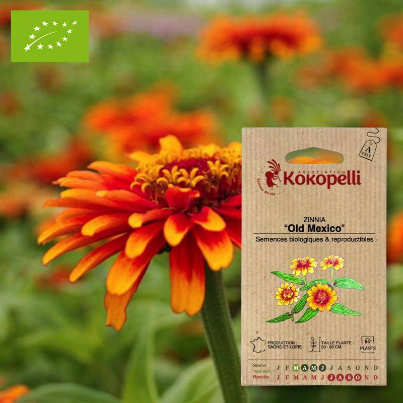 Graines bio à semer - Zinnia Old Mexico- Association Kokopelli