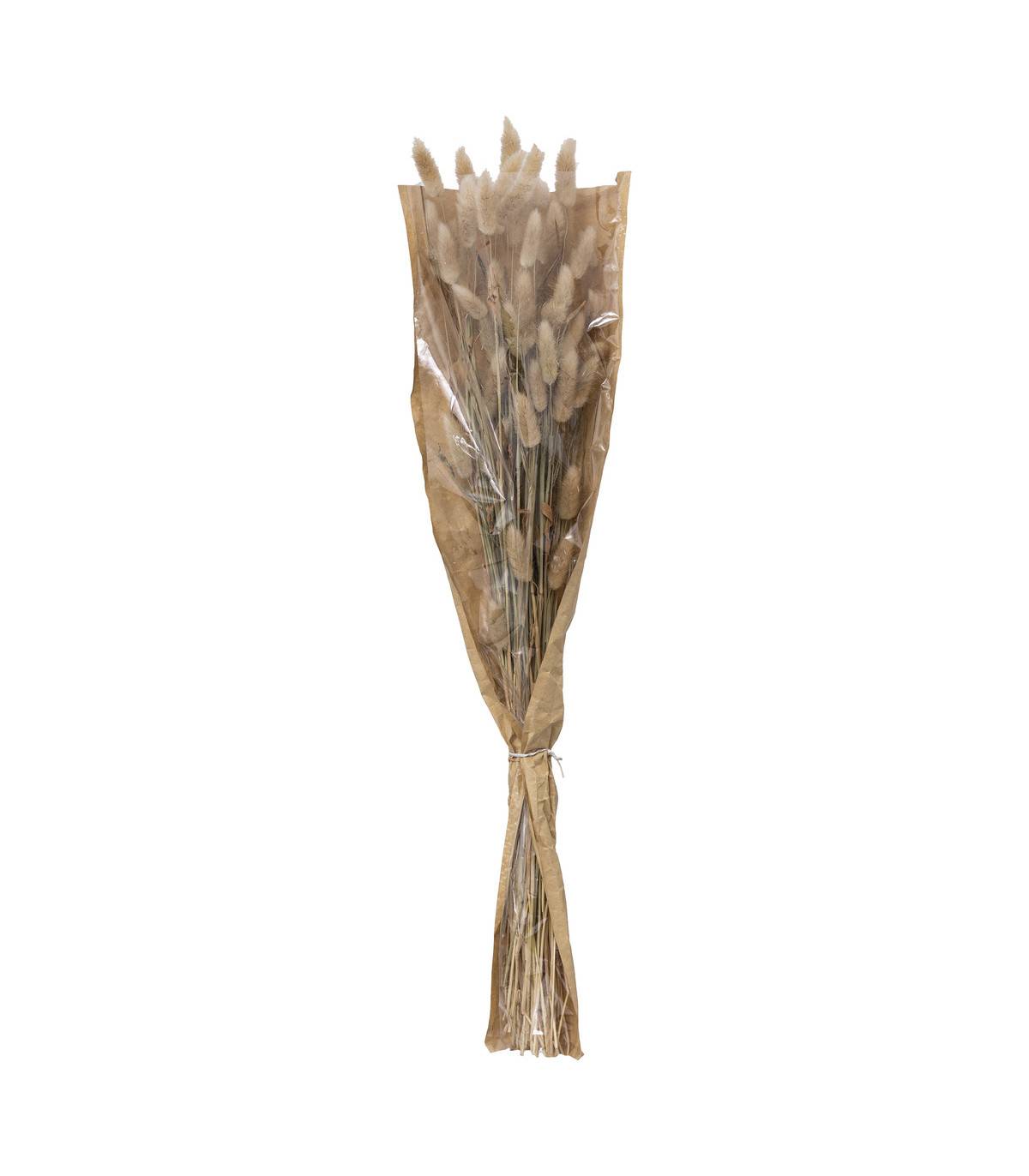 Bouquet de Fleurs Séchées Queue de Lapin Ivoire D. 18 x H. 58 cm - Image 1