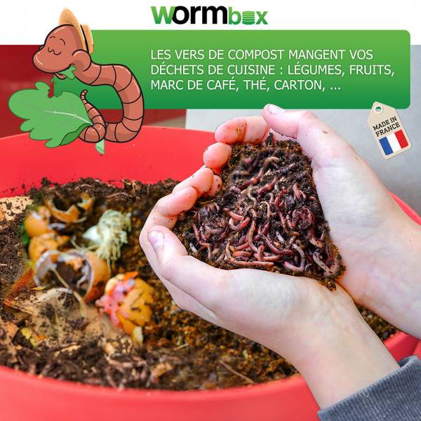 Lombricomposteur WormBox 4 Plateaux Vert Anis, 72L - Image 5