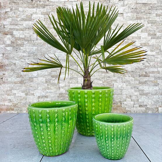 Pot ATTILA 30x29cm vert pomme - Image 2