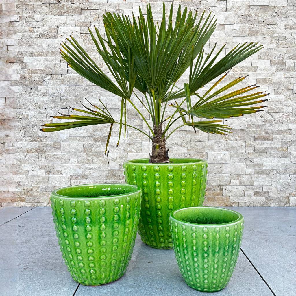 Pot ATTILA 30x29cm vert pomme - Image 2