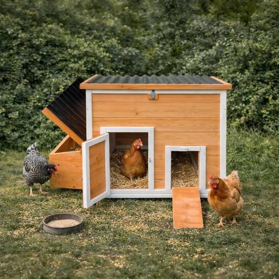 Poulailler Hefa+ en pin traité avec toit plastique - 6 poules - Image 1