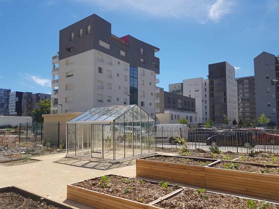 25m² - Serre en verre trempé - Euro Plus - Alu - 25m² - ALUMINIUM - L'atelier Des Serres - Image 3