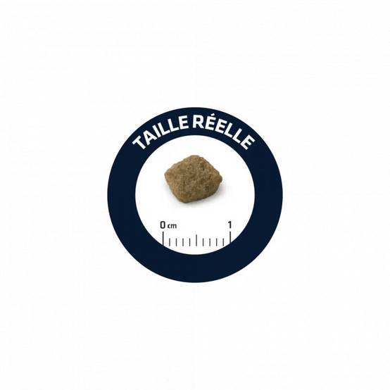 CROQUETTES CHIEN SENIOR MINI - ADVANCE 3 kg - Image 2