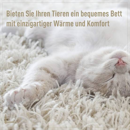 Sans Marque - Grotte pour chat en rotin, lit pour chat, maison pour chat avec coussin, tente pour chat, niche pour chats et chiens, beige, Ø56 x 35 cm - Image 8