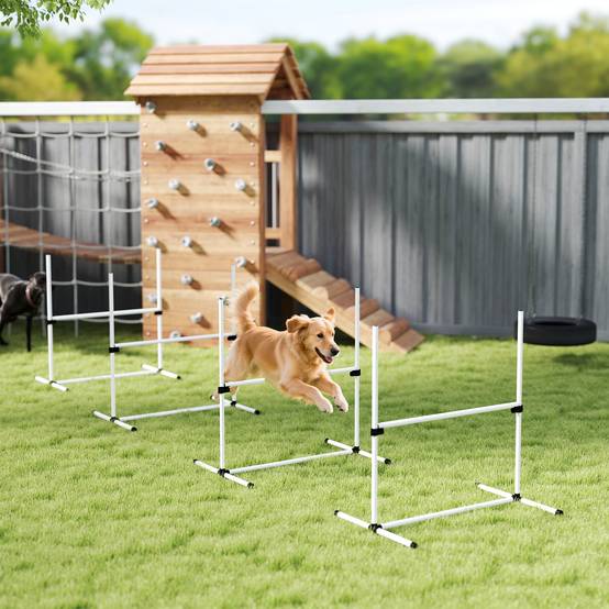 Obstacles d'agility pour chien plastique blanc 99 x 65 x 94 cm - PANGIVO - Image 4