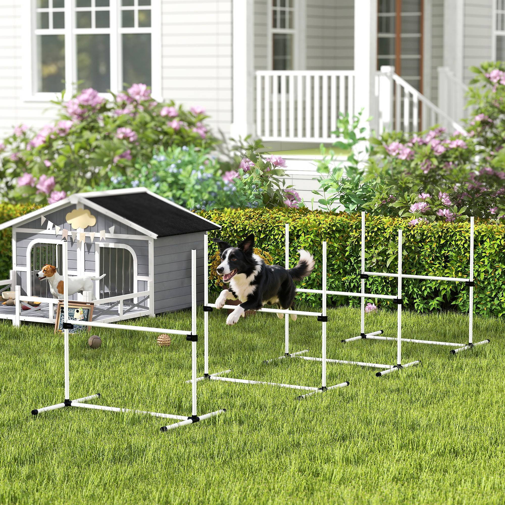 Obstacles d'agility pour chien plastique blanc 99 x 65 x 94 cm - PANGIVO - Image 3