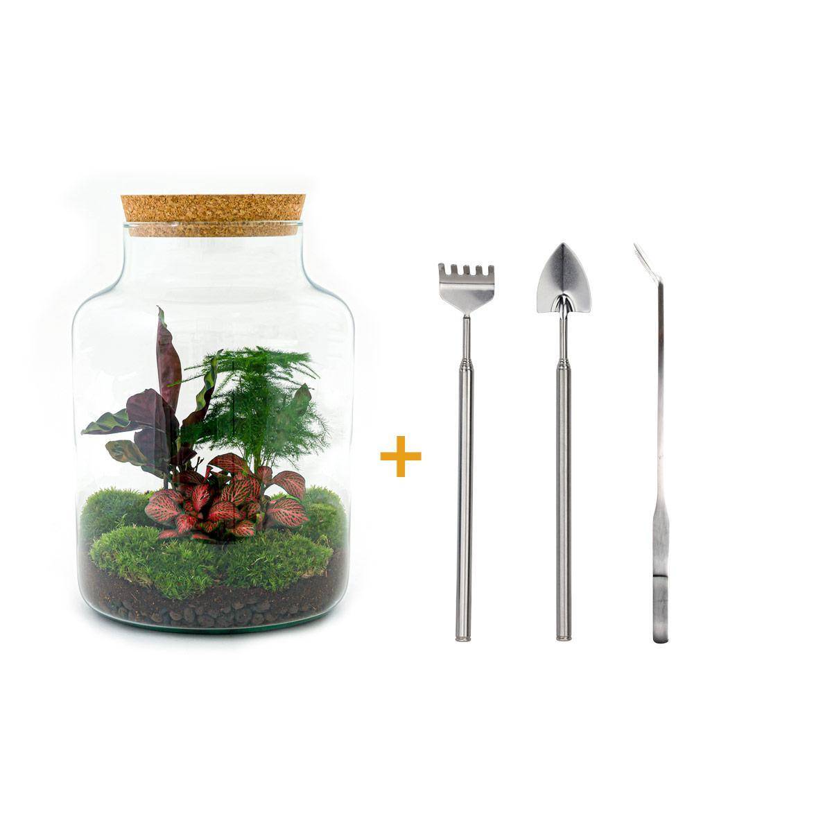 Diy Terrarium - D30 H30cm - Image 1