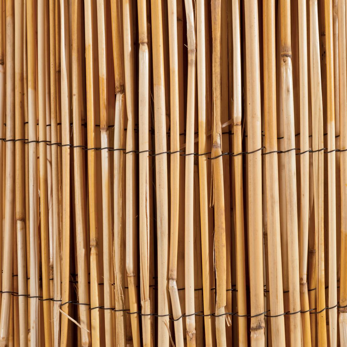 Canisse en roseau naturel WERKA PRO - 1,5 x 5 m - Image 3