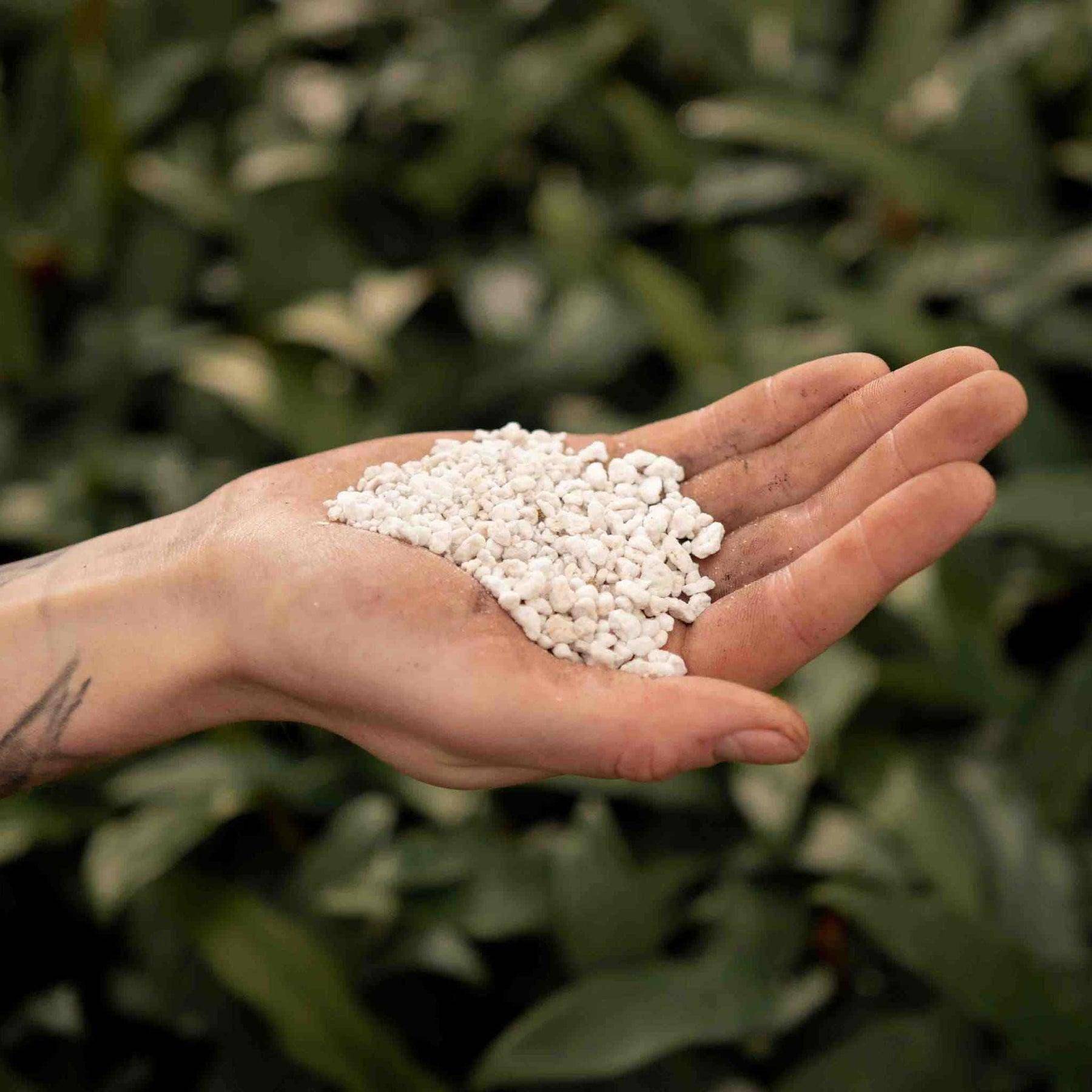 Perlite - 3L- La Green Touch - Image 2