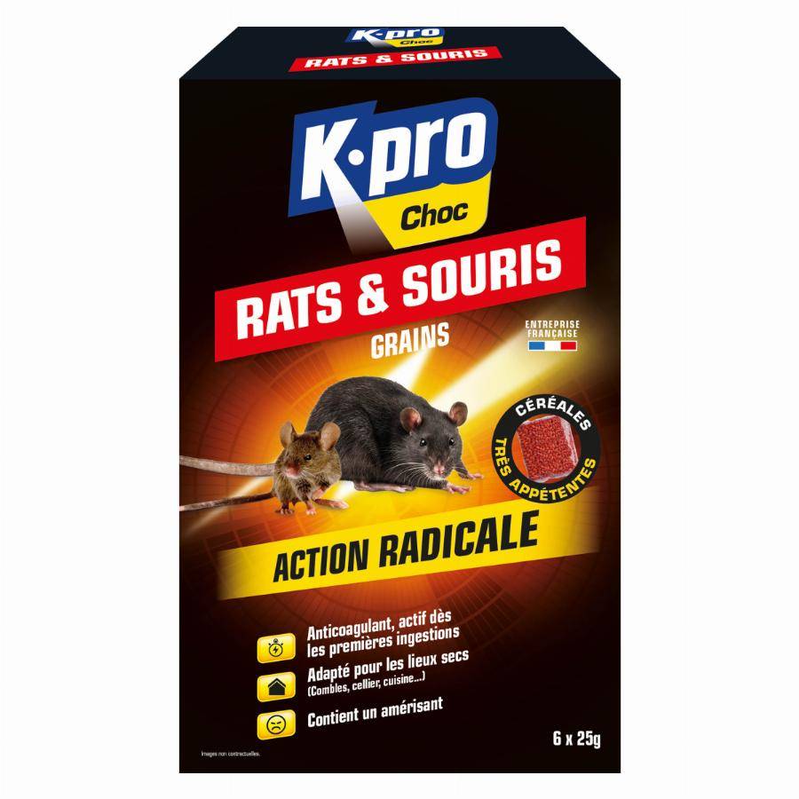Aérosol spécial infestation contre les punaises de lit 200ml - SINTO - 3092 - Image 3